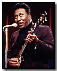 Muddy Waters