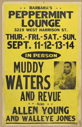 Muddy Waters