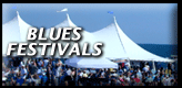 The South Side | Blues Festivals